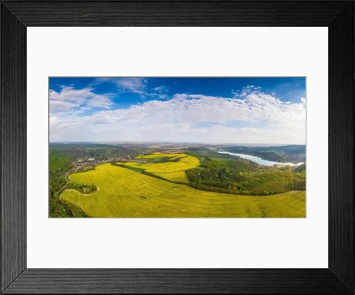 Framed Print : yellow canola field with cloudy sky Framed Print : yellow canola field with cloudy sky