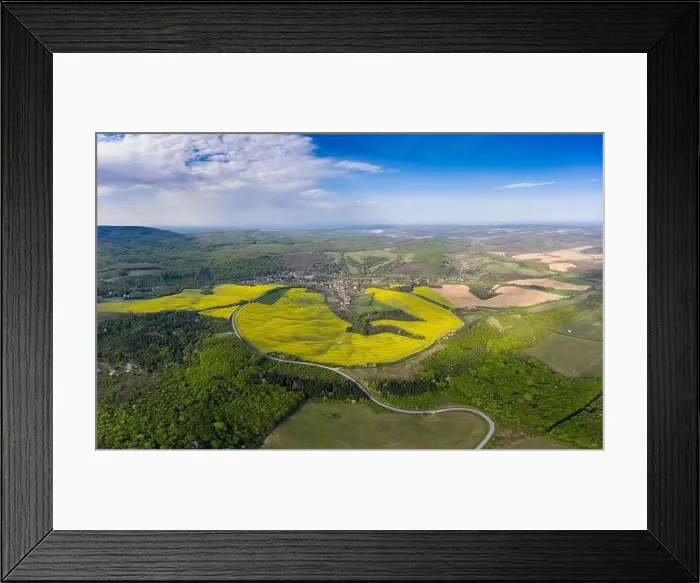 Framed Print : yellow canola field with cloudy sky Framed Print : yellow canola field with cloudy sky