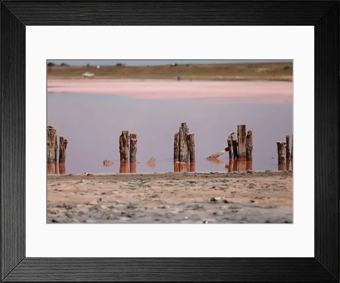 Framed Print : A fantastic pink salt lake with salt crystals on wooden pillars on sunny day Framed Print : A fantastic pink salt lake with salt crystals on wooden pillars on sunny day
