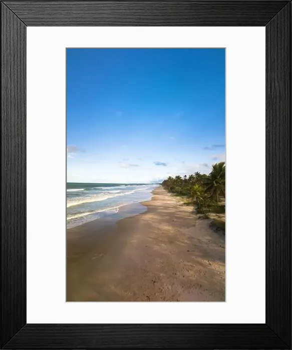 Framed Print : Aerial view deserted beach with coconut trees on the coast of bahia brazil Framed Print : Aerial view deserted beach with coconut trees on the coast of bahia brazil