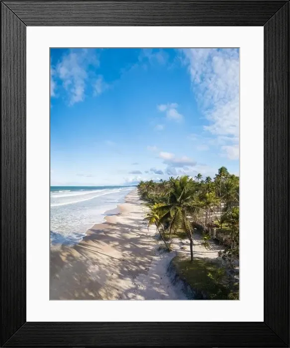 Framed Print : Aerial view deserted beach with coconut trees on the coast of bahia brazil Framed Print : Aerial view deserted beach with coconut trees on the coast of bahia brazil