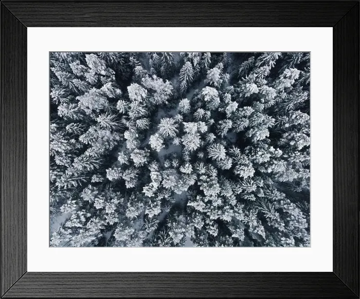 Framed Print : Winter wonderland forest aerial view