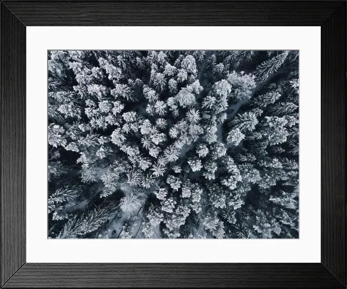 Framed Print : Winter wonderland forest aerial view Framed Print : Winter wonderland forest aerial view