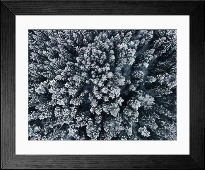 Framed Print : Winter wonderland forest aerial view Framed Print : Winter wonderland forest aerial view