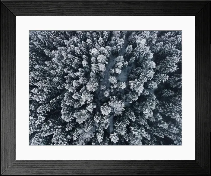 Framed Print : Winter wonderland forest aerial view Framed Print : Winter wonderland forest aerial view