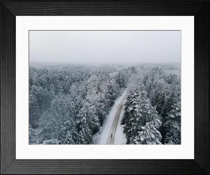 Framed Print : Spruce forest top down birds eye view. Winter landscape from above. Drone shot of snow covered tree Framed Print : Spruce forest top down birds eye view. Winter landscape from above. Drone shot of snow covered tree