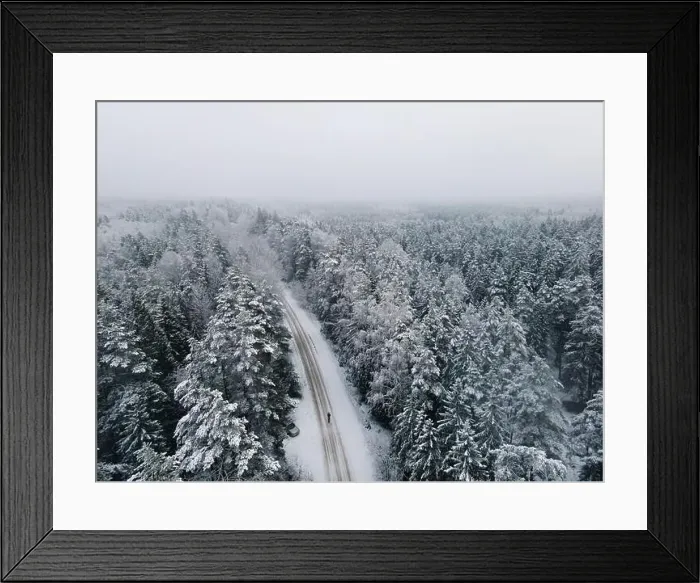 Framed Print : Spruce forest top down birds eye view. Winter landscape from above. Drone shot of snow covered tree Framed Print : Spruce forest top down birds eye view. Winter landscape from above. Drone shot of snow covered tree