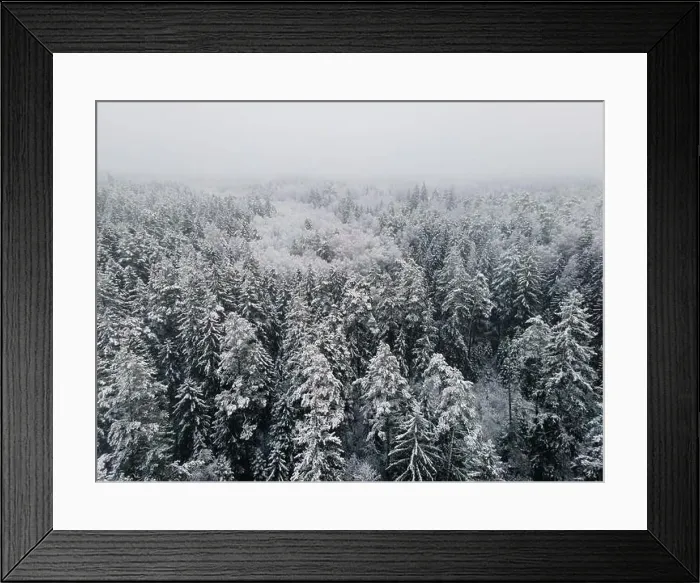 Framed Print : Spruce forest top down birds eye view. Winter landscape from above. Drone shot of snow covered tree Framed Print : Spruce forest top down birds eye view. Winter landscape from above. Drone shot of snow covered tree