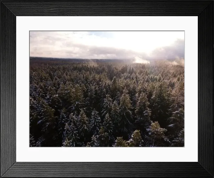 Framed Print : Winter wonderland morning mist fog over the forest aerial view