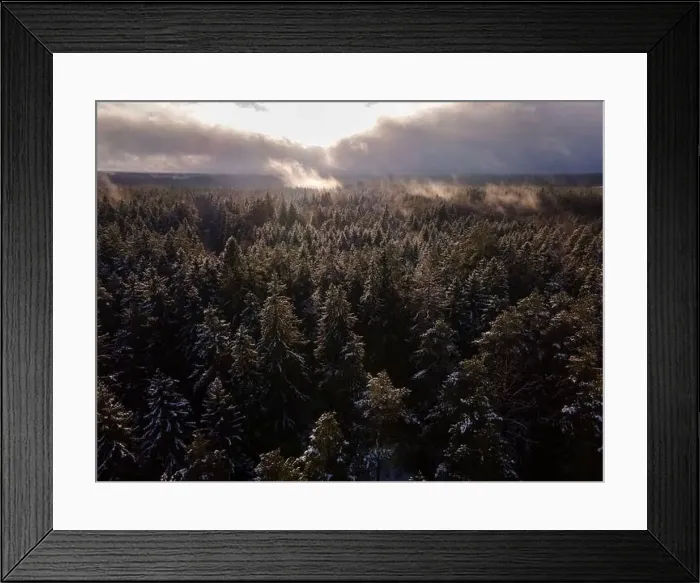 Framed Print : Winter wonderland morning mist fog over the forest aerial view Framed Print : Winter wonderland morning mist fog over the forest aerial view