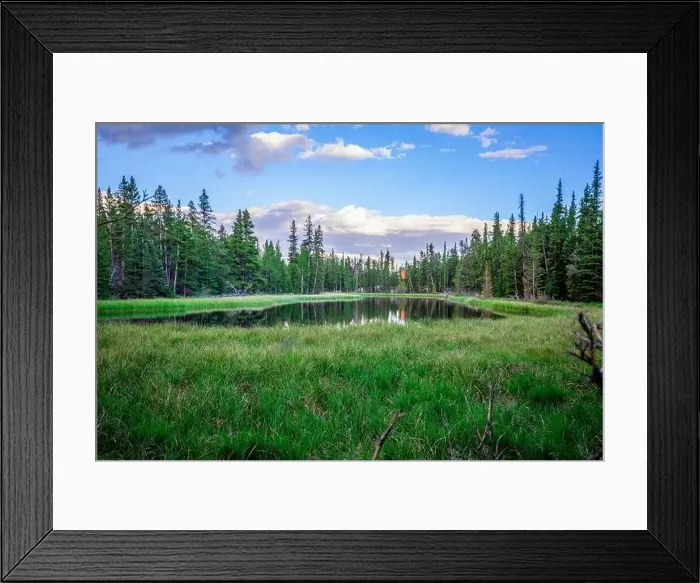 Framed Print : Colorado summer landscapes and textures Framed Print : Colorado summer landscapes and textures