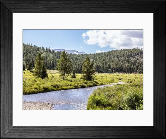 Framed Print : Colorado summer landscapes and textures Framed Print : Colorado summer landscapes and textures