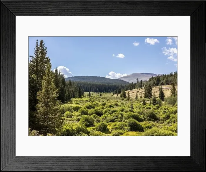Framed Print : Colorado summer landscapes and textures Framed Print : Colorado summer landscapes and textures