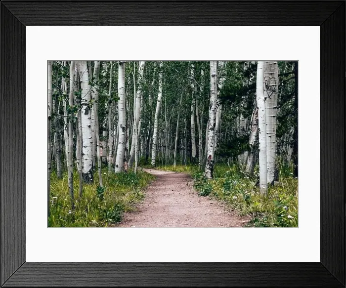 Framed Print : Colorado summer landscapes and textures Framed Print : Colorado summer landscapes and textures