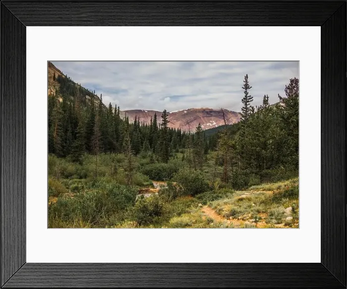 Framed Print : Colorado summer landscapes and textures Framed Print : Colorado summer landscapes and textures