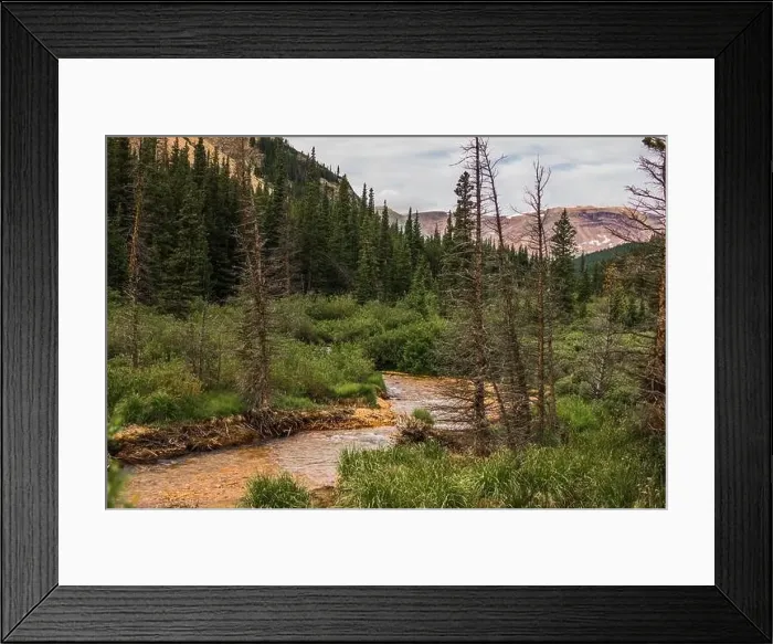 Framed Print : Colorado summer landscapes and textures Framed Print : Colorado summer landscapes and textures