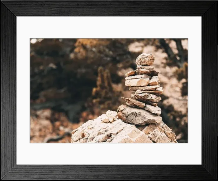 Framed Print : Colorado summer landscapes and textures Framed Print : Colorado summer landscapes and textures