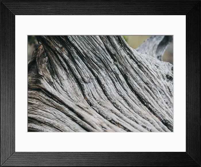 Framed Print : Colorado summer landscapes and textures Framed Print : Colorado summer landscapes and textures