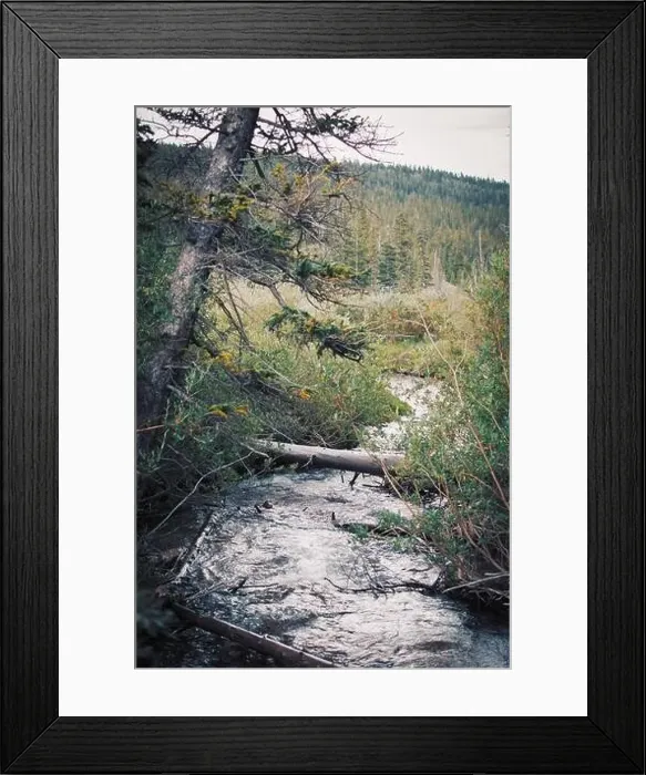 Framed Print : Colorado summer landscapes and textures Framed Print : Colorado summer landscapes and textures