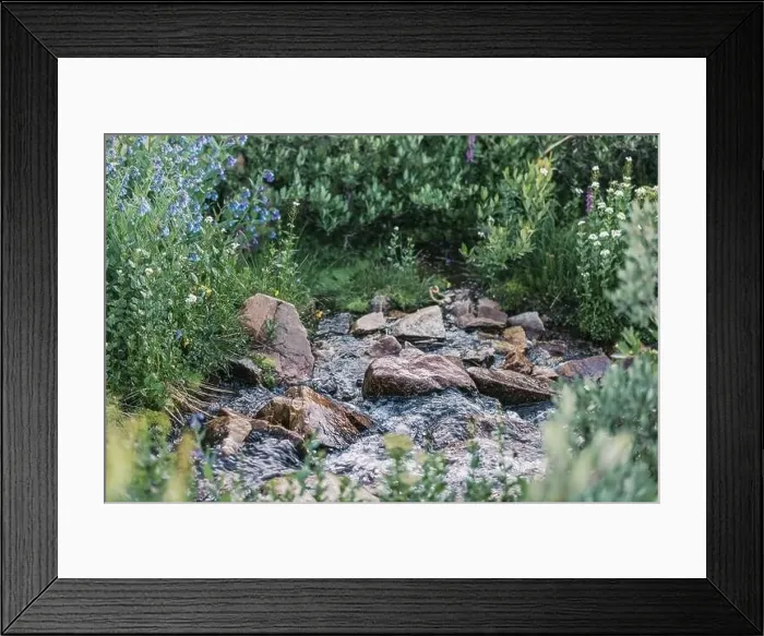 Framed Print : Colorado summer landscapes and textures Framed Print : Colorado summer landscapes and textures