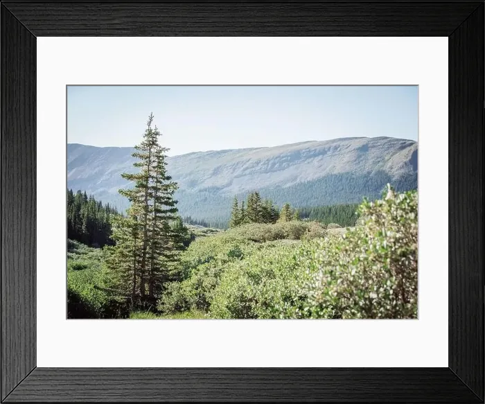Framed Print : Colorado summer landscapes and textures Framed Print : Colorado summer landscapes and textures