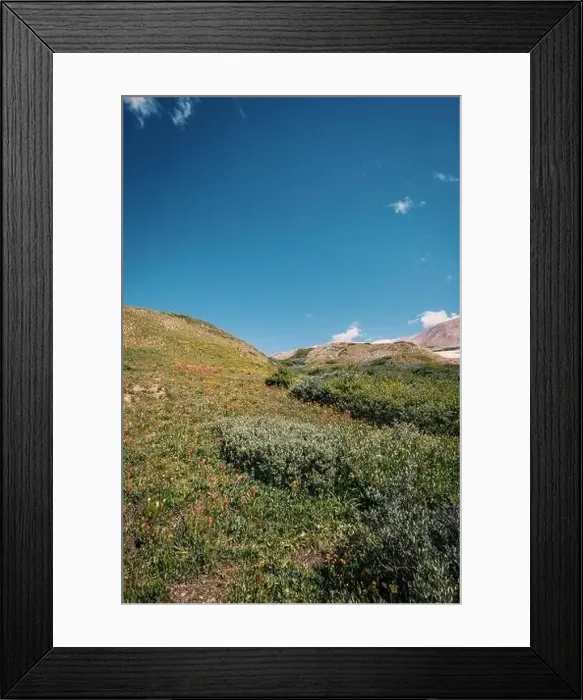 Framed Print : Colorado summer landscapes and textures Framed Print : Colorado summer landscapes and textures