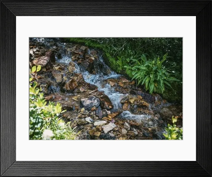 Framed Print : Colorado summer landscapes and textures Framed Print : Colorado summer landscapes and textures