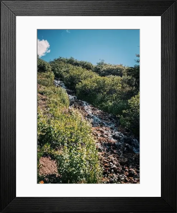 Framed Print : Colorado summer landscapes and textures Framed Print : Colorado summer landscapes and textures