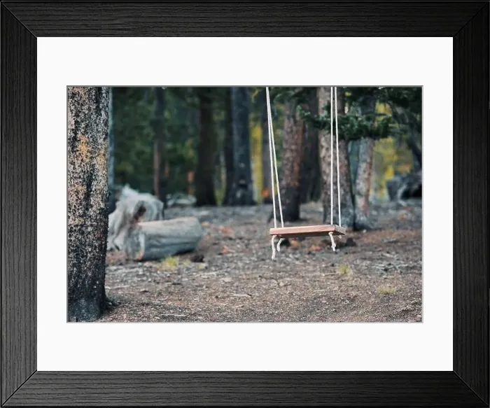 Framed Print : Colorado summer landscapes and textures Framed Print : Colorado summer landscapes and textures
