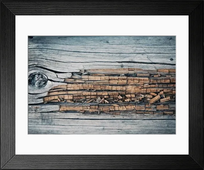 Framed Print : Colorado summer landscapes and textures Framed Print : Colorado summer landscapes and textures