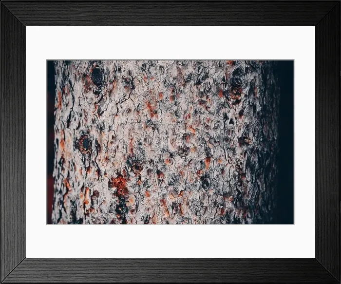 Framed Print : Colorado summer landscapes and textures Framed Print : Colorado summer landscapes and textures