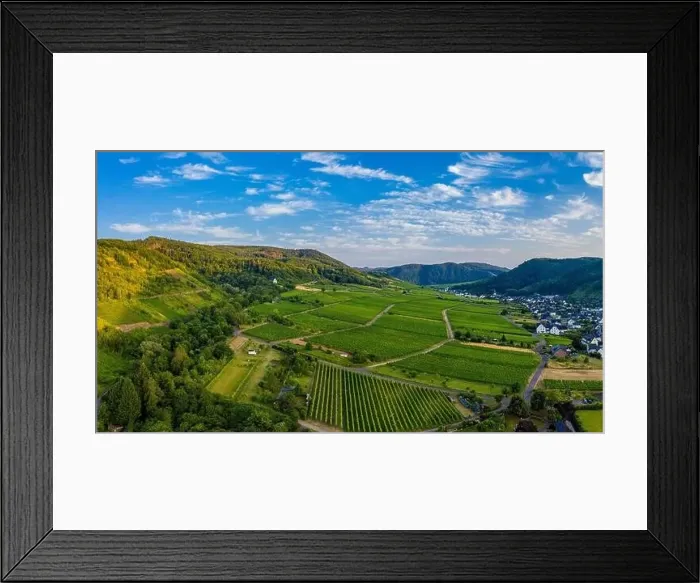 Framed Print : Panoramic view of vineyards on the Moselle, Germany. Drone photography Framed Print : Panoramic view of vineyards on the Moselle, Germany. Drone photography