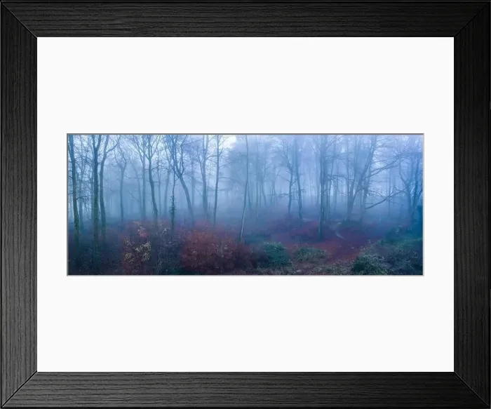 Framed Print : Aerial drone photo of autumn trees in thick fog weather conditions Framed Print : Aerial drone photo of autumn trees in thick fog weather conditions