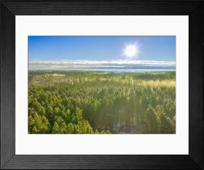 Framed Print : Drone photo of foggy sunrise over forest, golden sun light with beams and shadows Framed Print : Drone photo of foggy sunrise over forest, golden sun light with beams and shadows