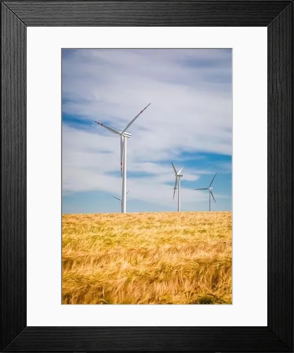 Framed Print : Wind farm on golden field in sunny summer, Poland Framed Print : Wind farm on golden field in sunny summer, Poland