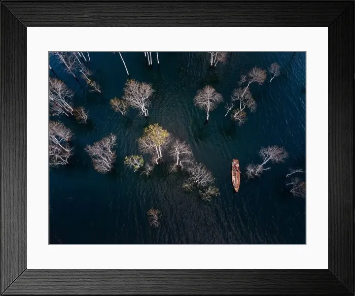 Framed Print : A boat travels on a deserted lake among the dry trees in the morning on a winter day Framed Print : A boat travels on a deserted lake among the dry trees in the morning on a winter day