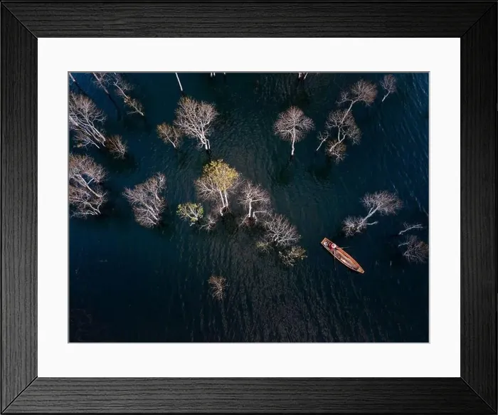 Framed Print : A boat travels on a deserted lake among the dry trees in the morning on a winter day Framed Print : A boat travels on a deserted lake among the dry trees in the morning on a winter day