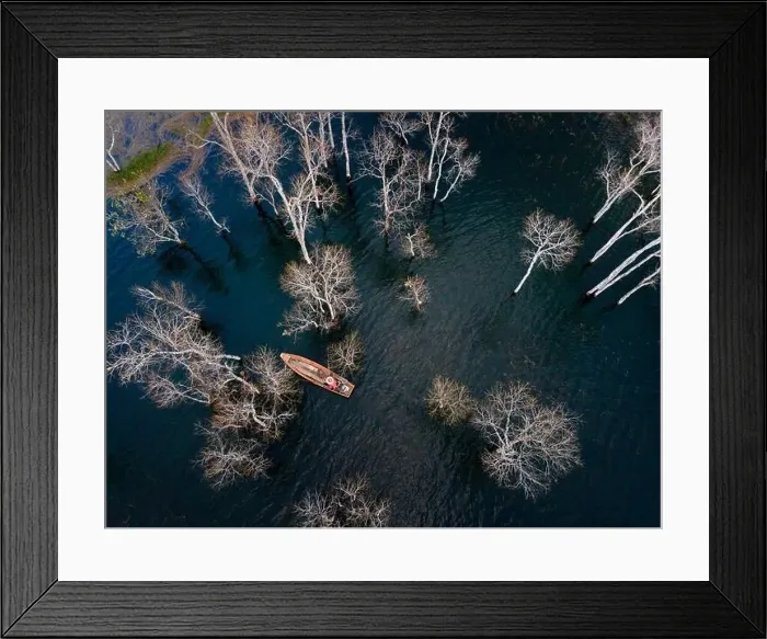 Framed Print : A boat travels on a deserted lake among the dry trees in the morning on a winter day Framed Print : A boat travels on a deserted lake among the dry trees in the morning on a winter day