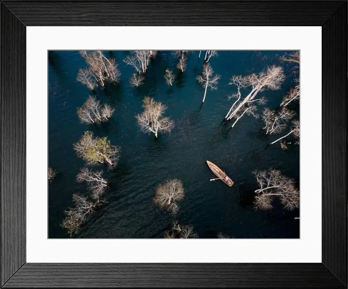 Framed Print : A boat travels on a deserted lake among the dry trees in the morning on a winter day Framed Print : A boat travels on a deserted lake among the dry trees in the morning on a winter day