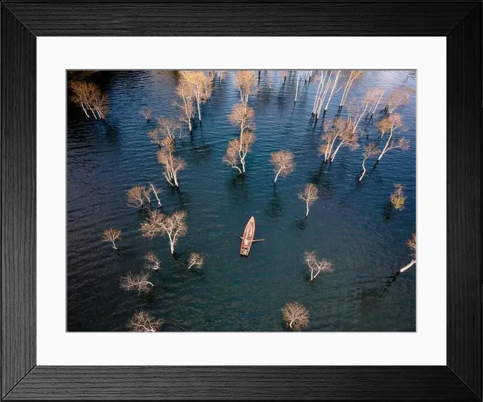 Framed Print : A boat travels on a deserted lake among the dry trees in the morning on a winter day Framed Print : A boat travels on a deserted lake among the dry trees in the morning on a winter day