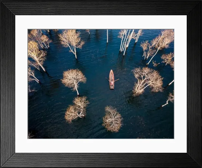 Framed Print : A boat travels on a deserted lake among the dry trees in the morning on a winter day Framed Print : A boat travels on a deserted lake among the dry trees in the morning on a winter day
