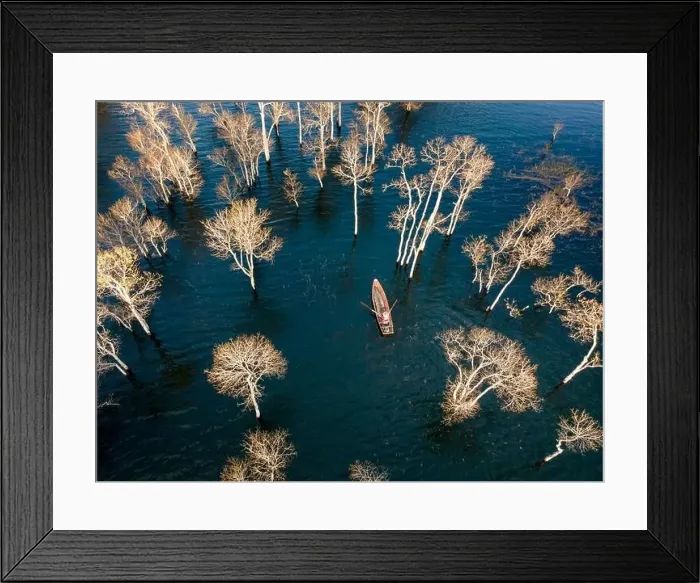 Framed Print : A boat travels on a deserted lake among the dry trees in the morning on a winter day Framed Print : A boat travels on a deserted lake among the dry trees in the morning on a winter day