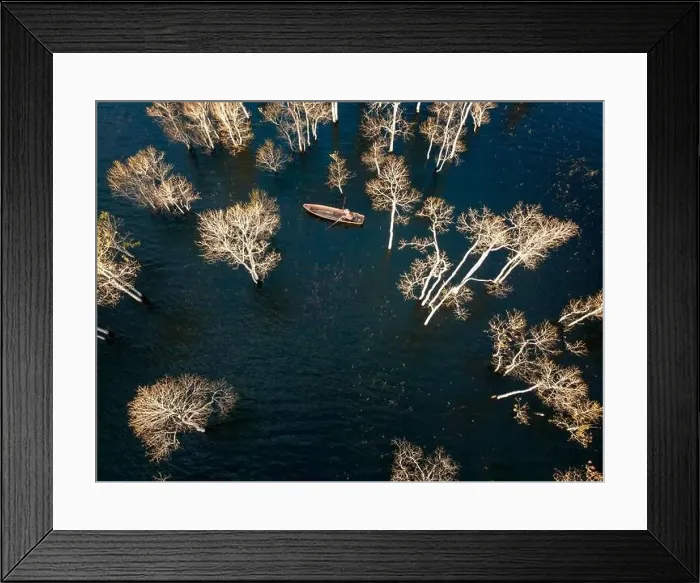 Framed Print : A boat travels on a deserted lake among the dry trees in the morning on a winter day Framed Print : A boat travels on a deserted lake among the dry trees in the morning on a winter day