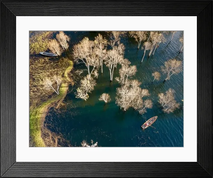 Framed Print : A boat travels on a deserted lake among the dry trees in the morning on a winter day Framed Print : A boat travels on a deserted lake among the dry trees in the morning on a winter day