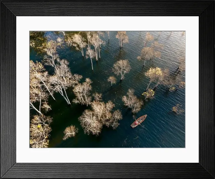 Framed Print : A boat travels on a deserted lake among the dry trees in the morning on a winter day Framed Print : A boat travels on a deserted lake among the dry trees in the morning on a winter day