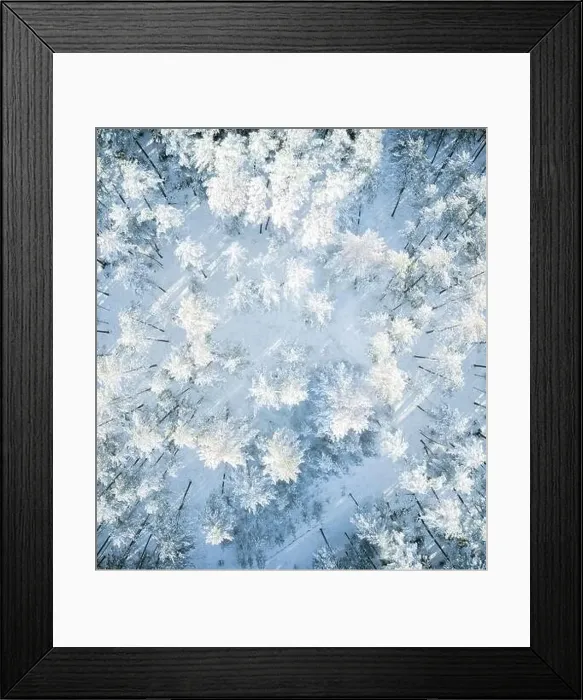 Framed Print : Beautiful winter forest aerial view Framed Print : Beautiful winter forest aerial view