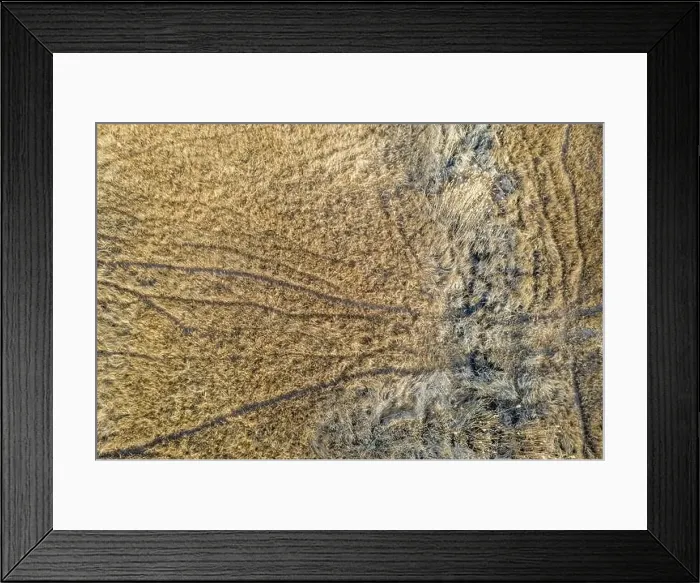 Framed Print : Aerial image of random paths used by deer in a winter landscape Framed Print : Aerial image of random paths used by deer in a winter landscape