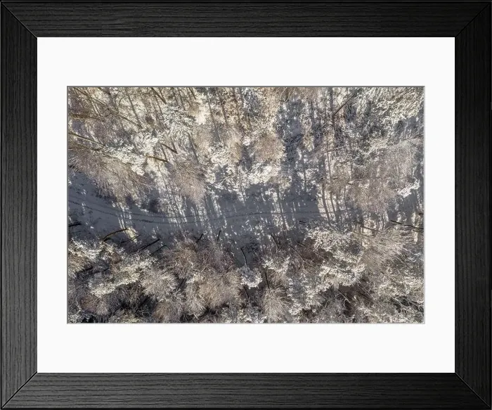 Framed Print : Winter path leading through a white, snowy forest captured by a drone straight from above - top down view Framed Print : Winter path leading through a white, snowy forest captured by a drone straight from above - top down view