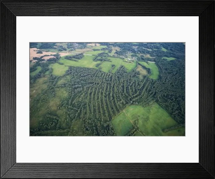 Framed Print : Green forest abstract lines aerial above top view Framed Print : Green forest abstract lines aerial above top view