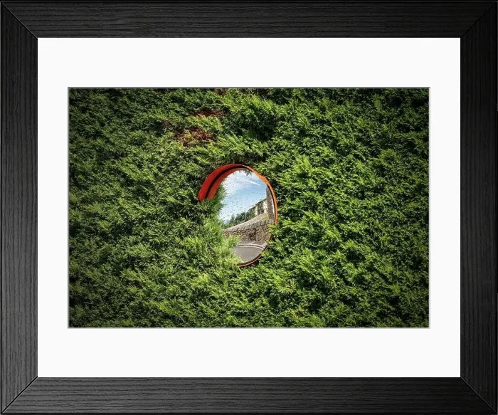 Framed Print : Closeup of a circular safety road mirror partially covered by a green hedge. Italy, Europe Framed Print : Closeup of a circular safety road mirror partially covered by a green hedge. Italy, Europe